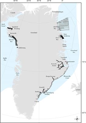 Abundance and distribution of narwhals (Monodon monoceros) on the summering grounds in Greenland between 2007-2019